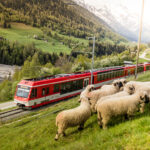 Swiss Travel System: Goms, Matterhorn Gotthard Bahn