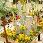sunflowers-al-wahda-mall