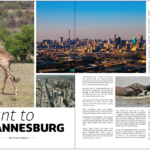jaunt-to-johannesburg