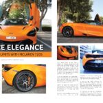 global-trend-monitor-june-2022-mclaren