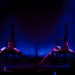 papillon-performance-6