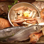 fish-display
