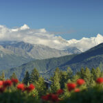 summer-view-from-the-terrace