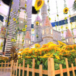 al-wahda-mall-sunflowers